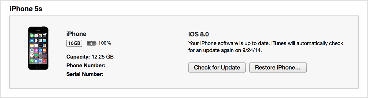 iPhone summary tab